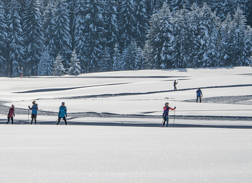 Eine Gruppe beim Langlaufen im Urlaub beim Fuschlsee