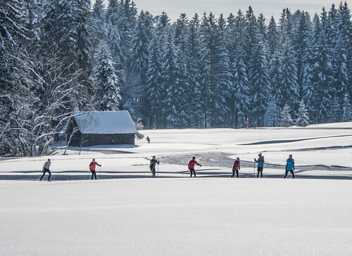 Eine Gruppe beim Langlaufen im Aktivurlaub im Salzkammergut